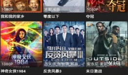 漂泊二哥爆料视频下载大全,揭秘幕后真相